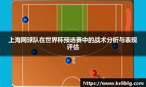 pg模拟器