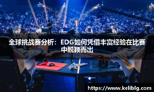 pg模拟器