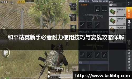 pg模拟器和平精英新手必看耐力使用技巧与实战攻略详解